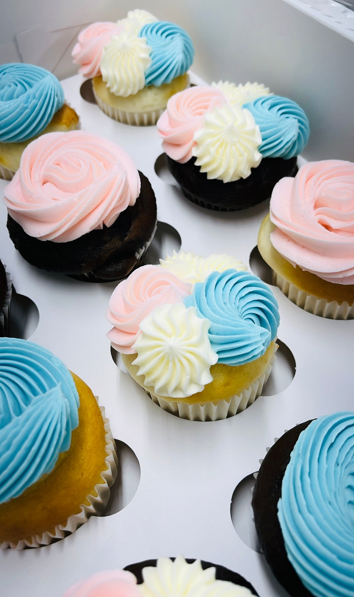 Cupcakes 🧁💙💓